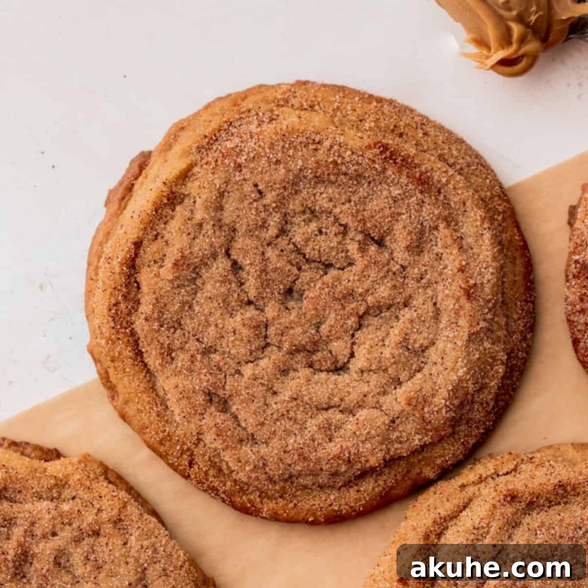 Snickerdoodle Peanut Butter Bliss 1 featured 1011