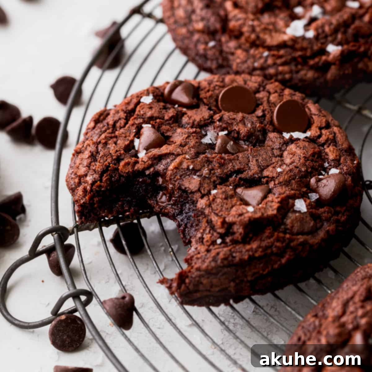 Ultimate Fudgy Crinkle Cookies 1 featured 14336