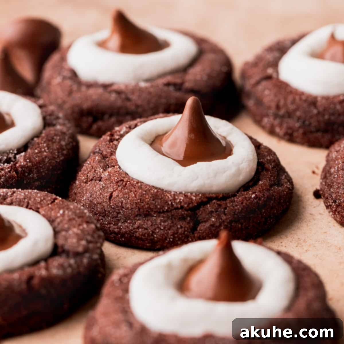Warm Cocoa Blossom Cookies 1 featured 14766