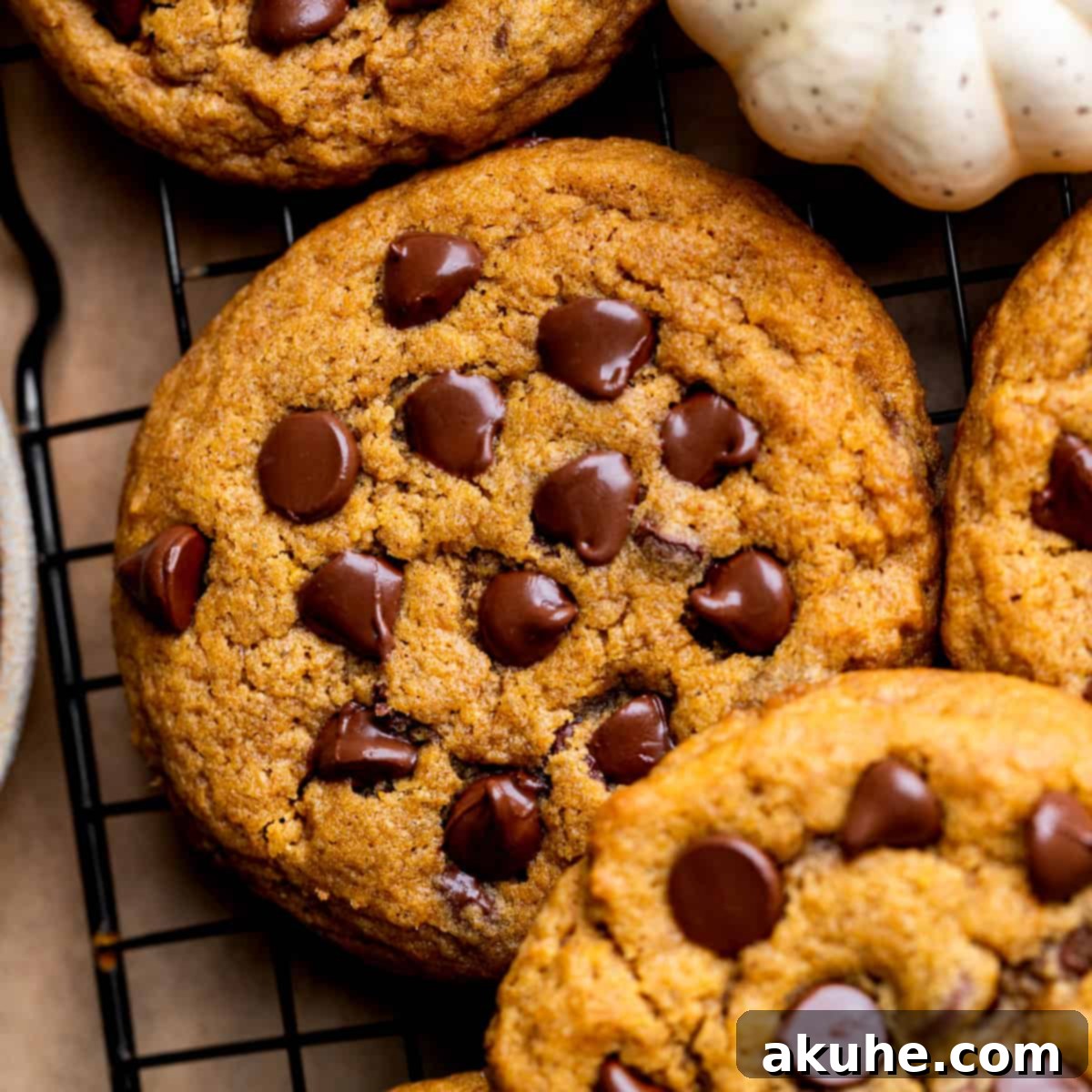 Spiced Pumpkin Chocolate Chip Cookies 1 featured 20877