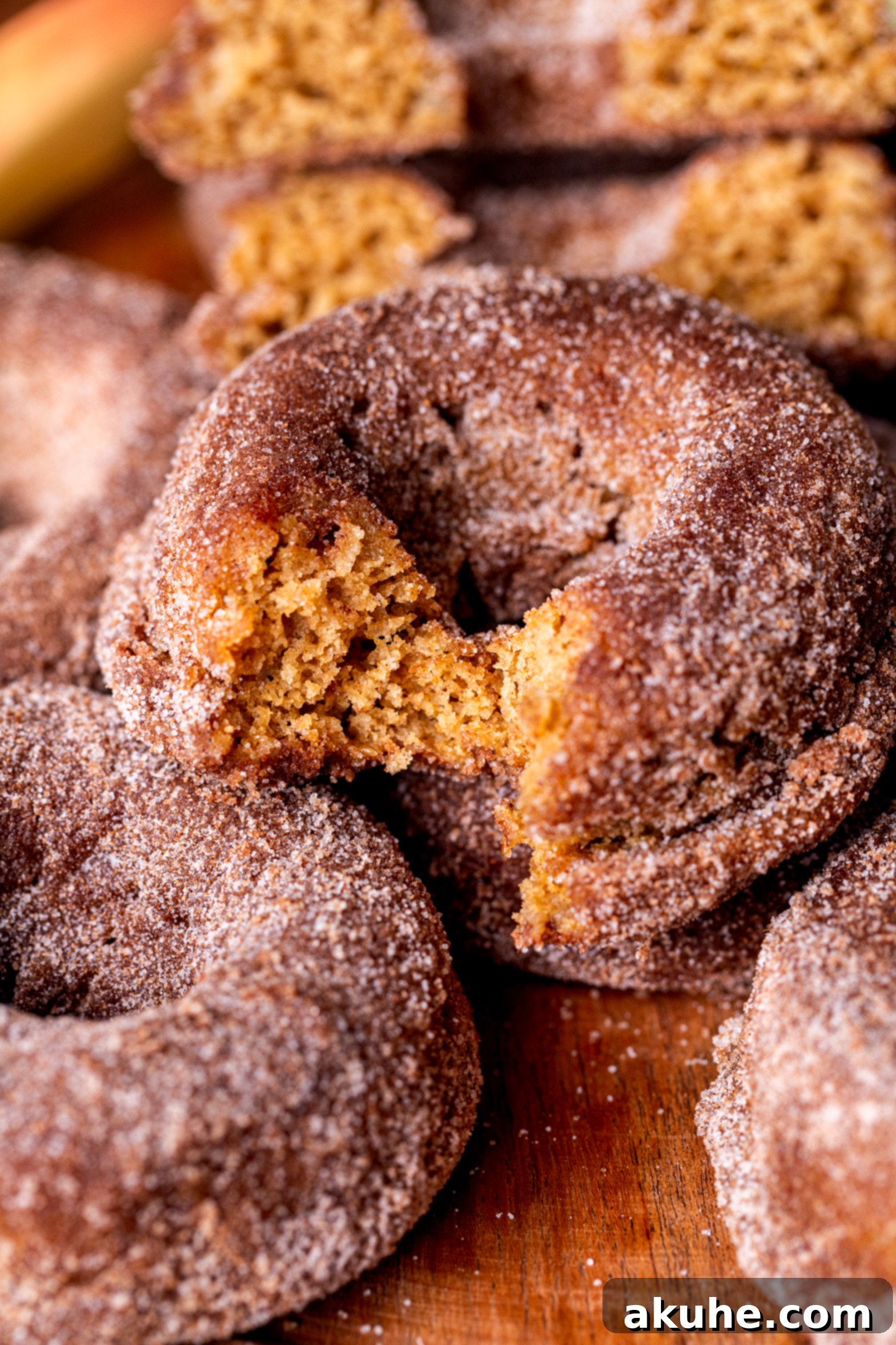 Harvest Apple Cider Donuts 1 featured 30372