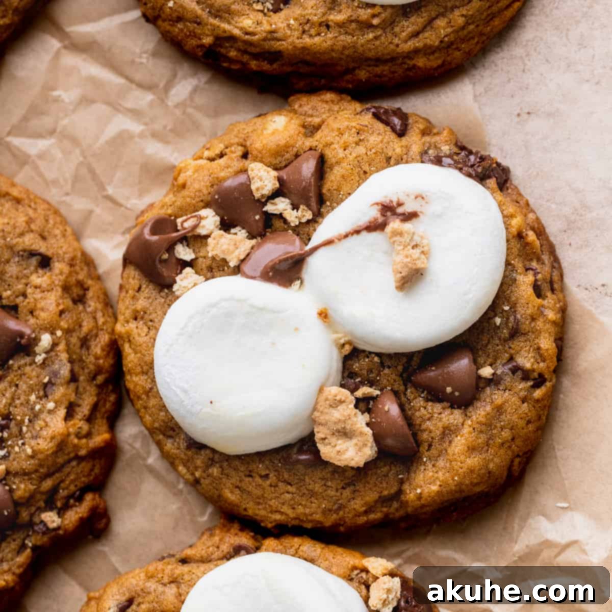Pumpkin S'mores Cookies 1 featured 6298