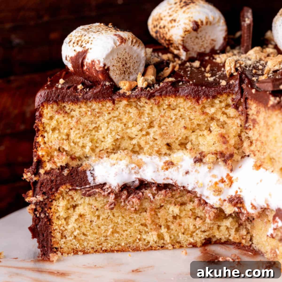 Ultimate Smores Cake 1 featured 660