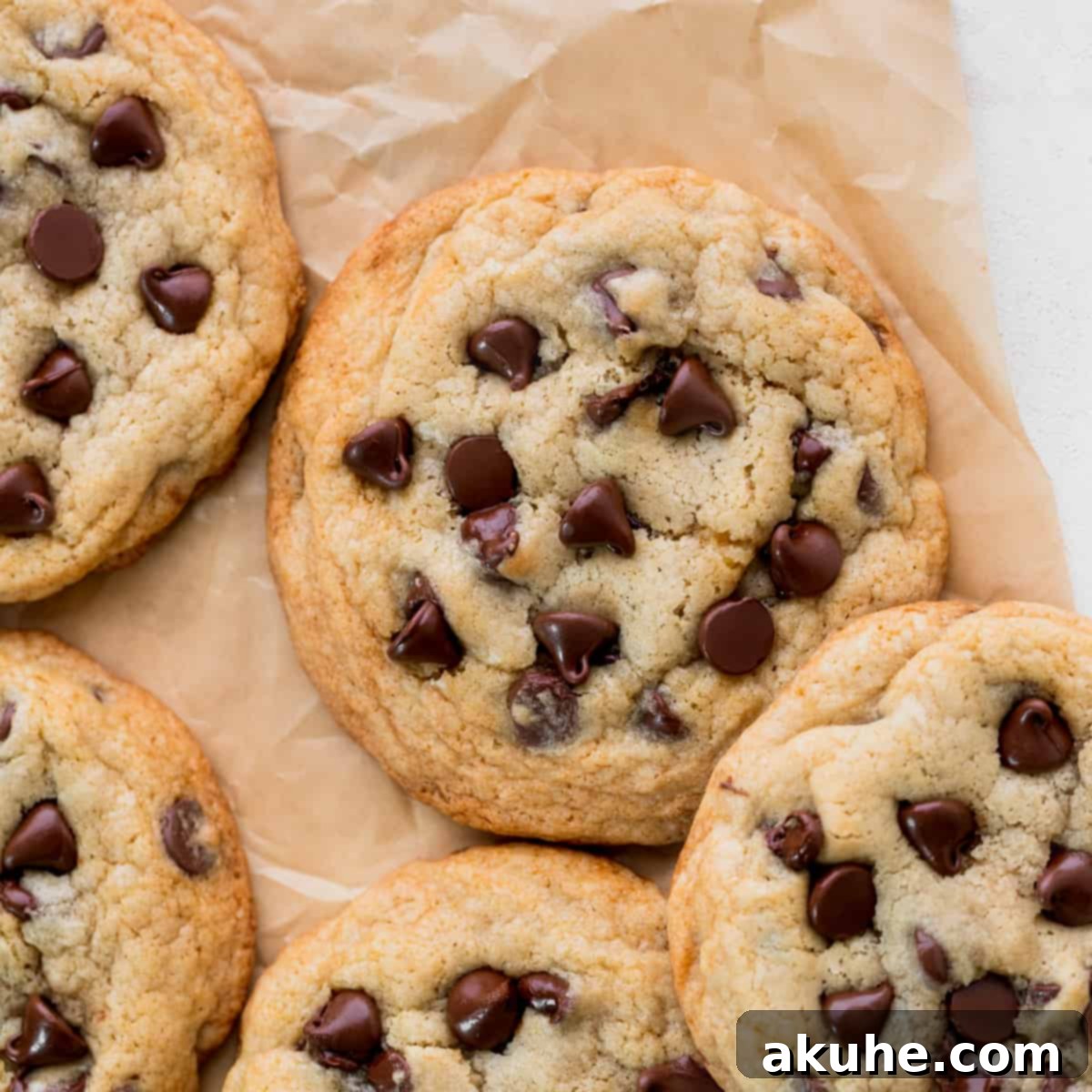 Just Enough Chocolate Chip Bliss 1 featured 8241