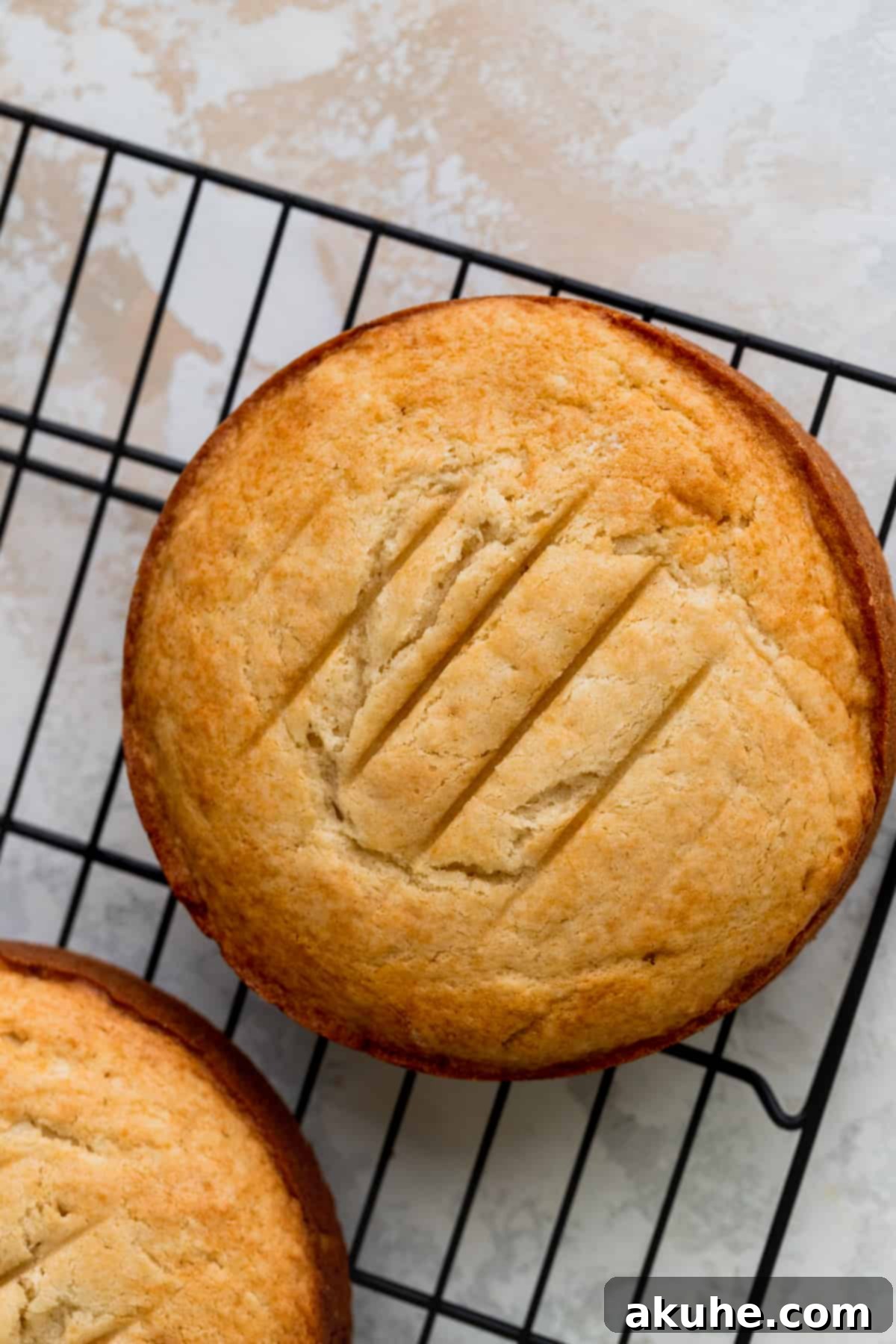 Vanilla Bean Mini Cakes 7 Freshly baked vanilla cake layers cooling on a wire rack after being removed from their pans.