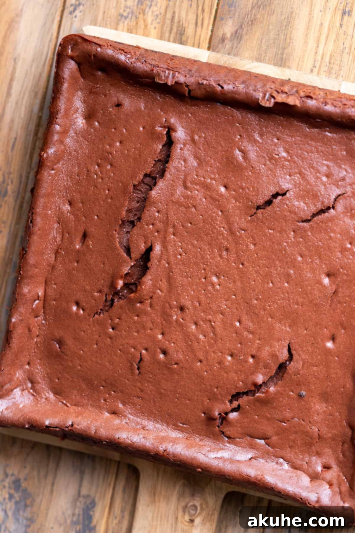 Decadent Chocolate Cheesecake Squares 7 A perfectly baked chocolate cheesecake, golden and set, removed from the oven and resting on a platter.