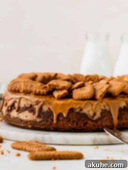 The Ultimate Biscoff Cheesecake 15 Ultimate Biscoff Cheesecake