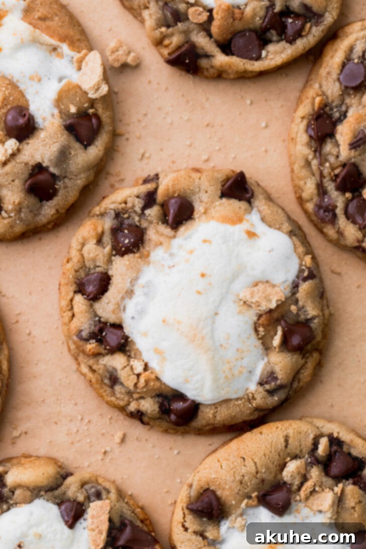 Gooey S'mores Cookies 2 A top-down view of several freshly baked s'mores cookies, showcasing their golden edges, melted chocolate, and peeking marshmallow centers.