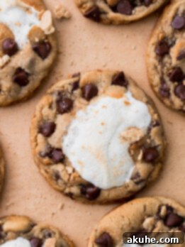 Gooey S'mores Cookies 12 Top view of s'mores cookies.