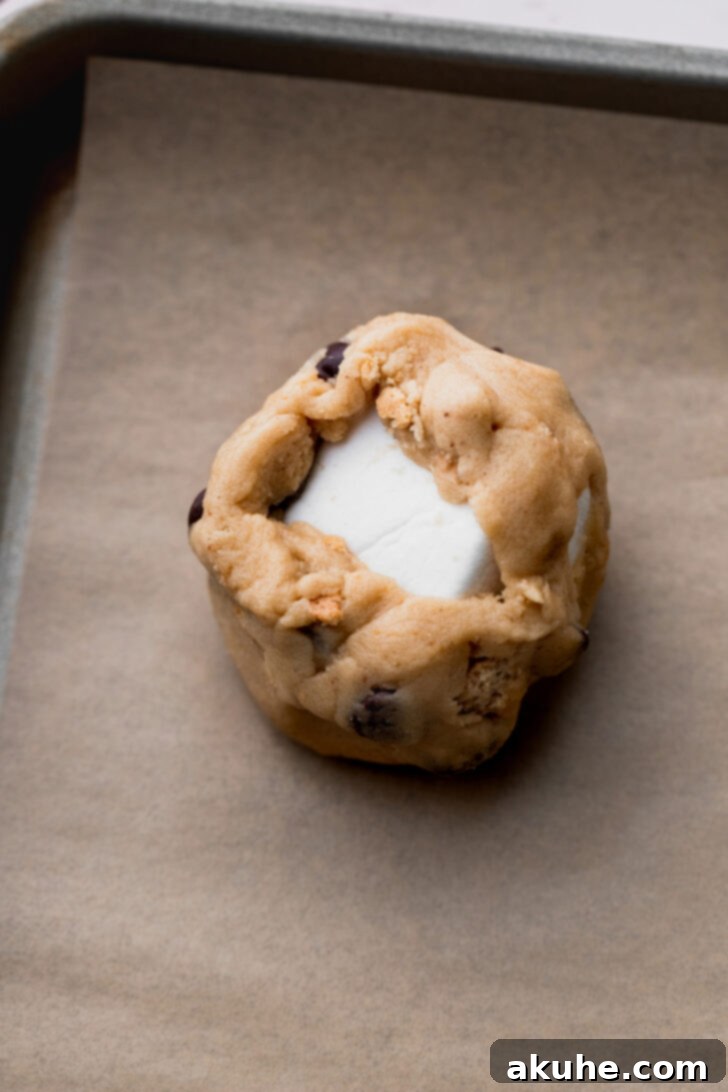 Gooey S'mores Cookies 9 Cookie dough gently pressed around a marshmallow, leaving a small portion of the marshmallow visible for a classic s'mores appearance.