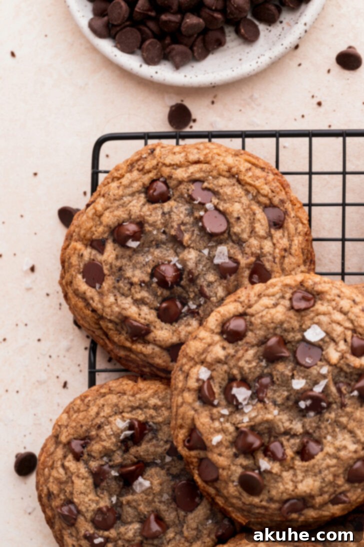 Java Delights 2 Top view of perfectly baked chewy coffee cookies, sprinkled with chocolate chips.