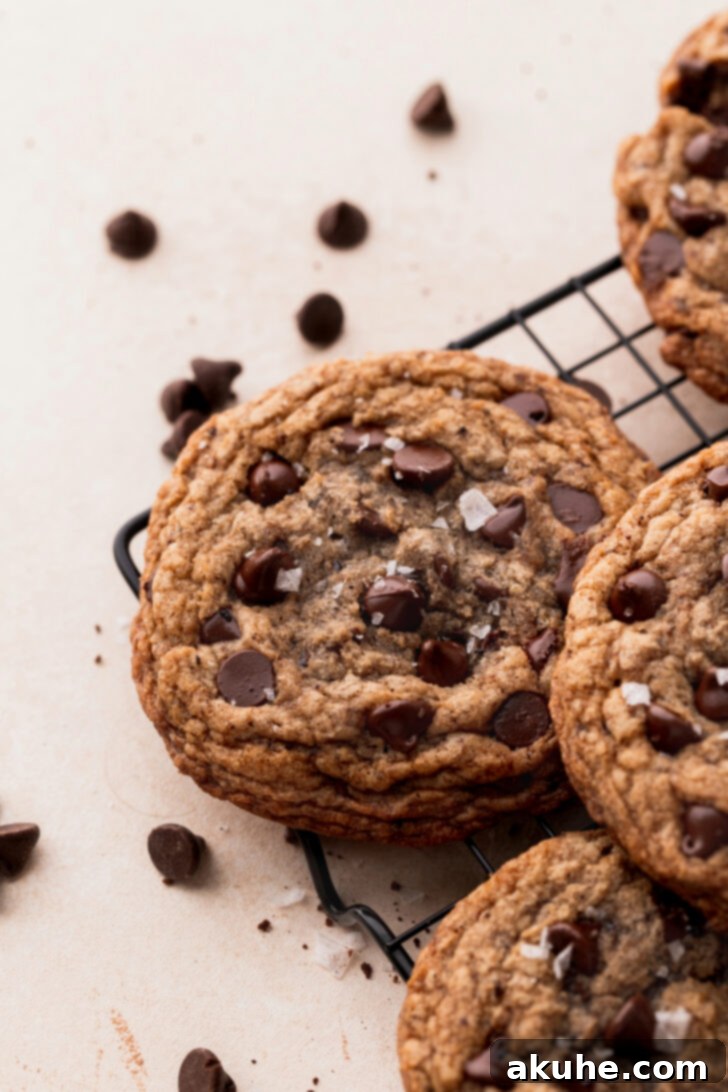Java Delights 8 Close up of a single perfectly baked coffee cookie, showing its texture and chocolate.