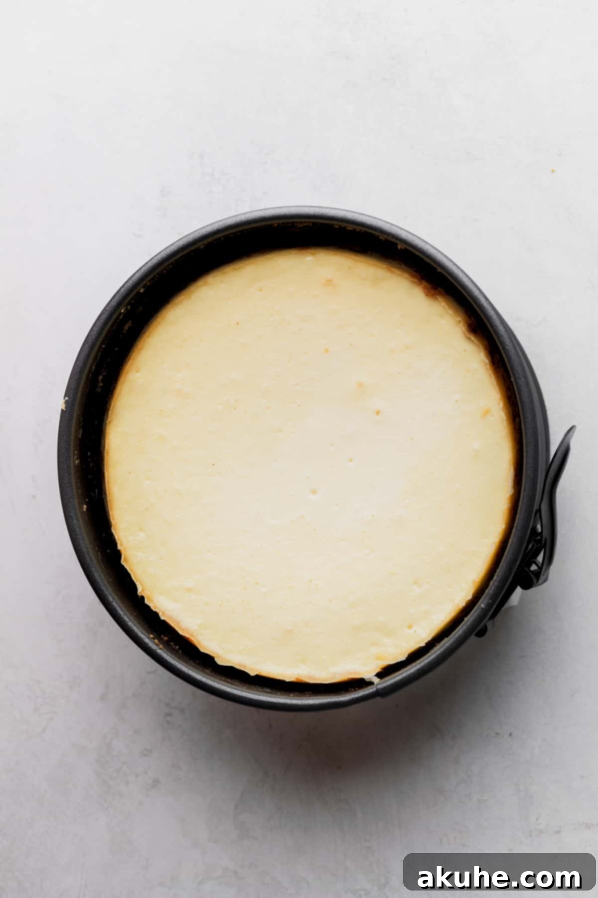 Mini Cheesecakes 9 Freshly baked cheesecake in a springform pan, showing set edges and a creamy center.