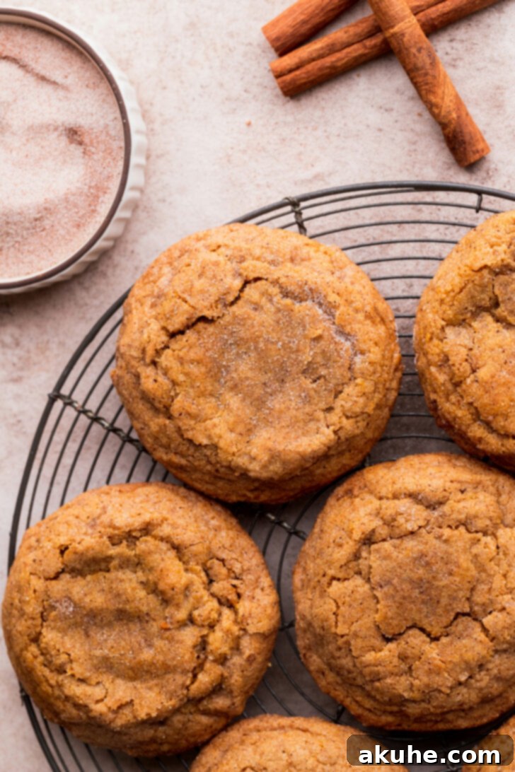 Harvest Pumpkin Spice Cookies 2 Top view of cinnamon-sugar-coated chewy pumpkin cookies arranged on a baking sheet, showcasing their golden-brown edges and soft centers.