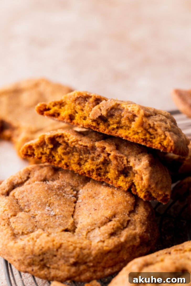 Harvest Pumpkin Spice Cookies 3 A perfectly baked chewy pumpkin cookie, split in half to reveal its soft, moist interior and rich, inviting texture.