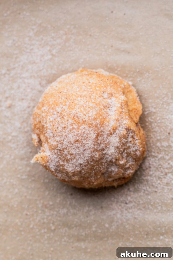 Harvest Pumpkin Spice Cookies 6 A ball of pumpkin cookie dough generously rolled in cinnamon sugar, showcasing its full coating, ready for baking.