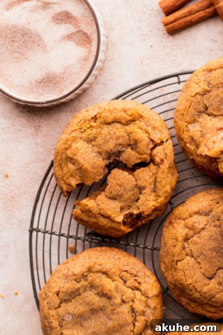 Harvest Pumpkin Spice Cookies 7 A perfectly baked chewy pumpkin cookie split in half, showcasing its soft interior and inviting texture, resting on a wire cooling rack.