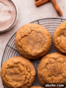 Harvest Pumpkin Spice Cookies 9 A baked chewy pumpkin cookie with cinnamon sugar