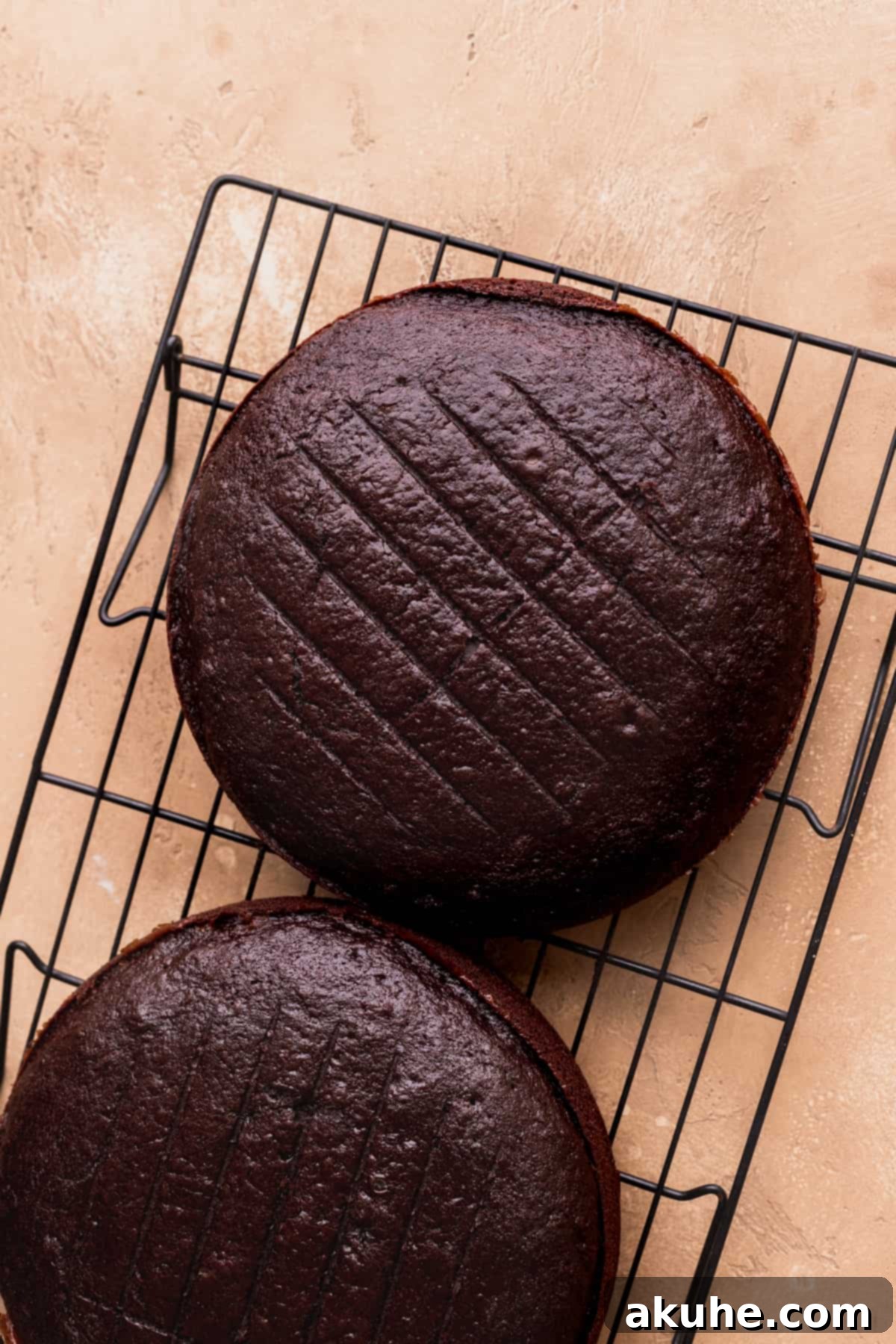 Freshly baked chocolate cake layers cooling on a wire rack, perfectly risen and ready for the next step of frosting.