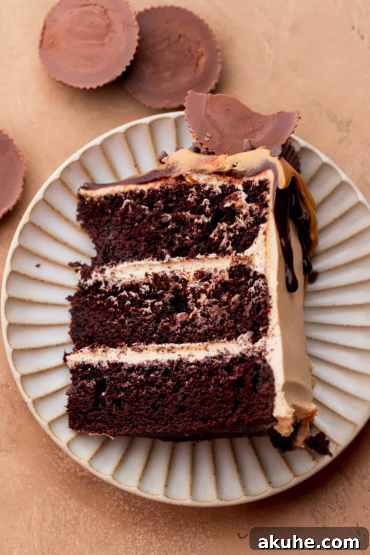 Decadent Peanut Butter Chocolate Cake 10 A single, perfectly cut slice of chocolate peanut butter cake on a plate, ready to be enjoyed.