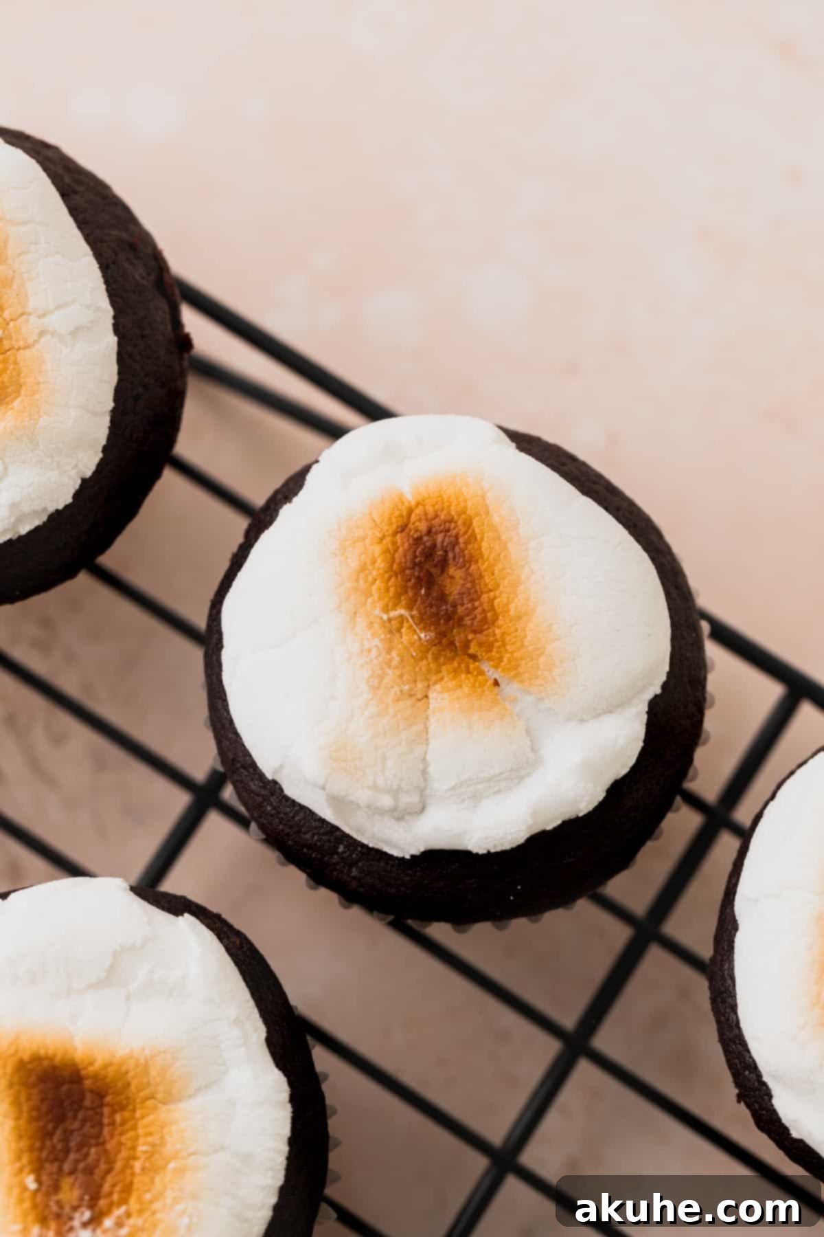 A perfectly toasted marshmallow atop a cupcake, showcasing its golden-brown exterior and gooey texture.