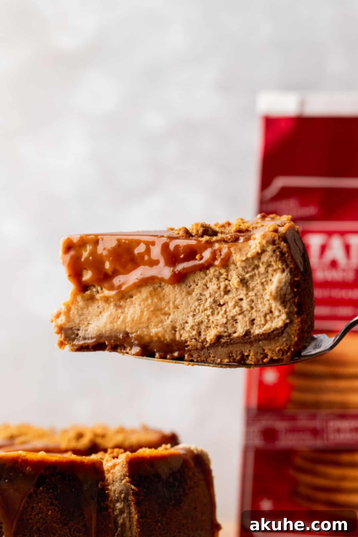 Gingerbread Dream Cheesecake 2 Close up of slice of gingerbread cheesecake.