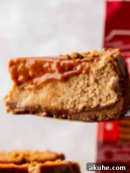 Gingerbread Dream Cheesecake 14 Close up of slice of gingerbread cheesecake.