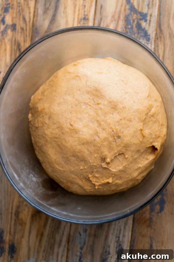 Spiced Gingerbread Swirl Buns 4 Beautifully risen gingerbread dough in a bowl, having doubled in size after the first hour of resting.