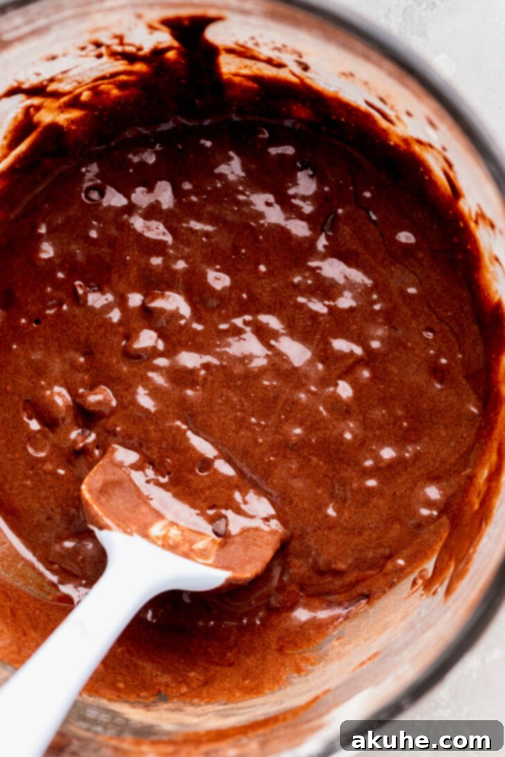 Fudgy Brownie Cake 5 Rich, dark brownie batter in a bowl, with visible chocolate chips stirred in