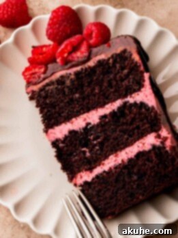 Decadent Chocolate Raspberry Delight 11 Chocolate raspberry cake slice on a plate.