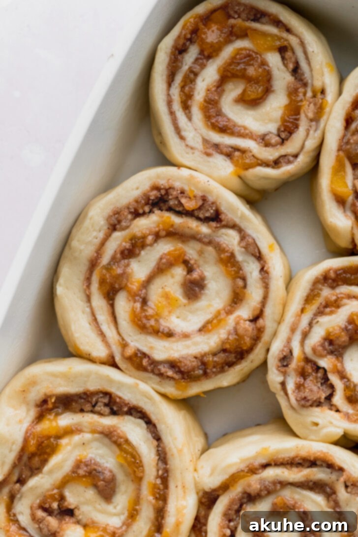 Peach Cobbler Cinnamon Rolls Reimagined 8 Unbaked cinnamon rolls carefully arranged in a baking pan, showing their spiral layers before rising and baking.