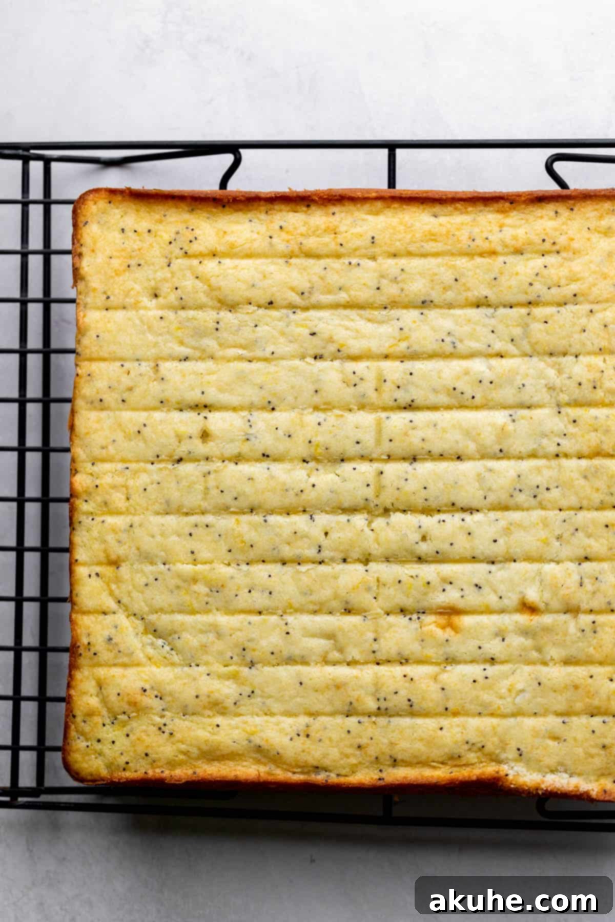 Bright Lemon Poppy Seed Cake 6 A freshly baked lemon poppy seed cake, golden brown and cooling on a wire rack, ready for frosting.