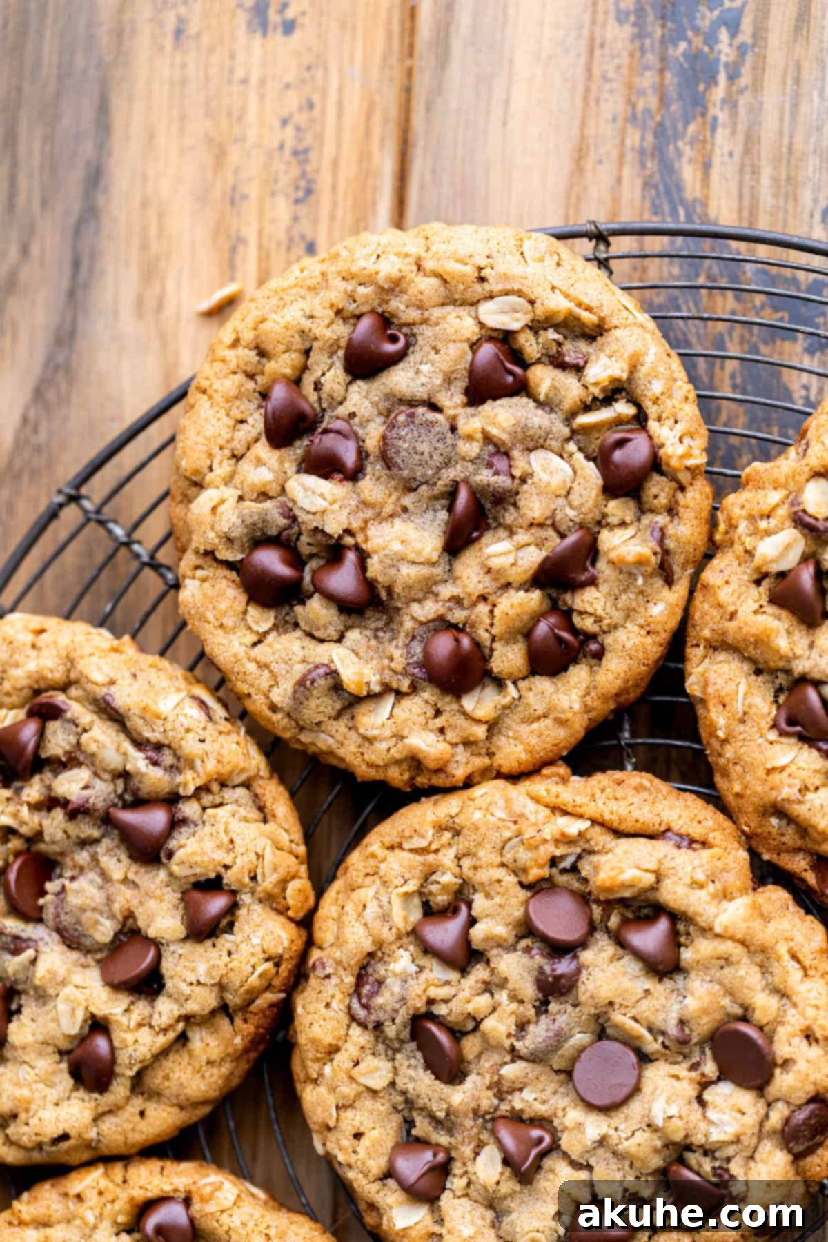 Oatmeal chocolate chip cookies arranged neatly on a wire cooling rack.