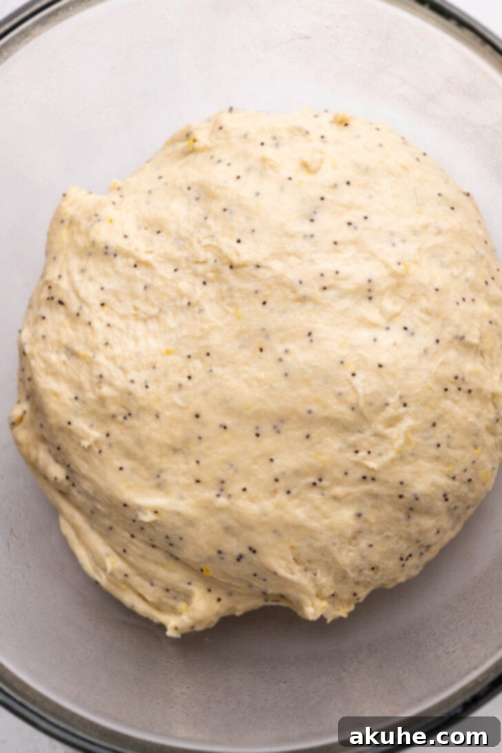 Sunshine Lemon Rolls 4 Close-up image of lemon poppy seed dough before its first rise, showing a tacky but not sticky texture.