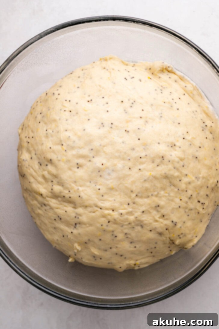 Sunshine Lemon Rolls 5 Lemon poppy seed dough after its first rise, clearly doubled in size in a mixing bowl.
