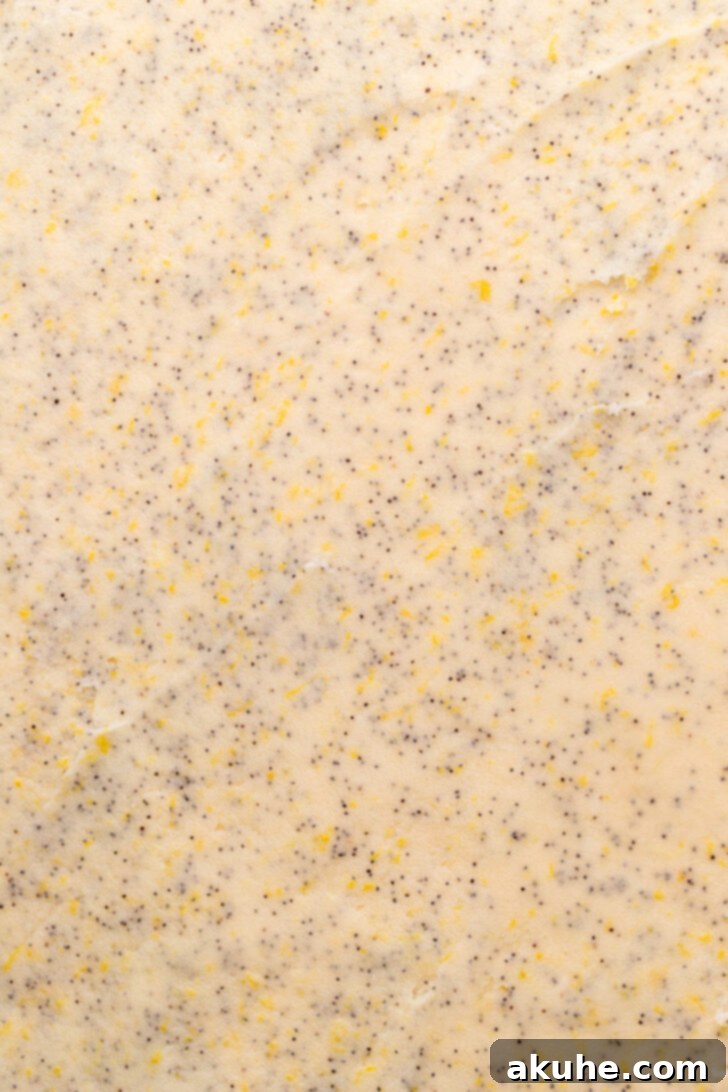 Sunshine Lemon Rolls 6 Rolled out lemon poppy seed dough with the lemon butter and sugar filling spread evenly across it.