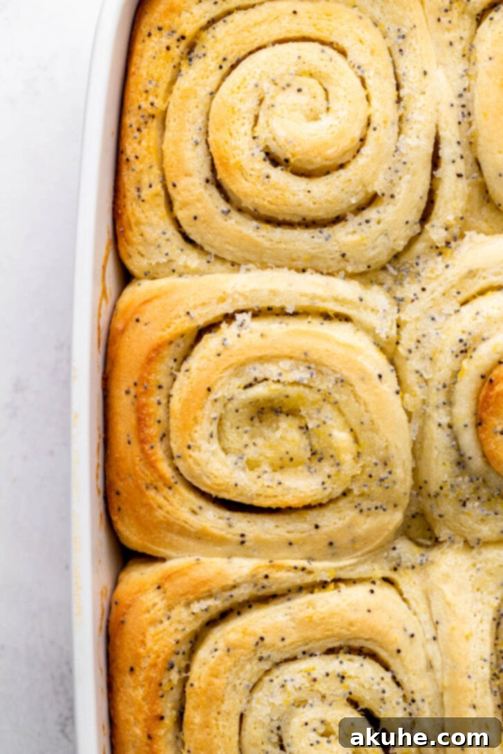 Sunshine Lemon Rolls 8 Baked lemon poppy seed rolls, golden brown and perfectly risen, fresh out of the oven in a baking pan.