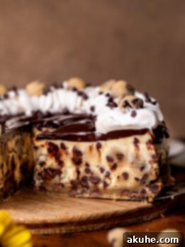 Side view of cookie dough cheesecake slice.