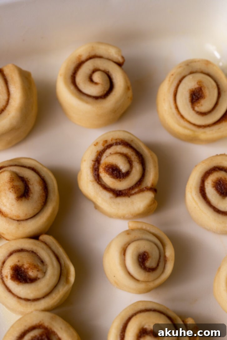 Raw mini cinnamon rolls arranged in a baking pan.