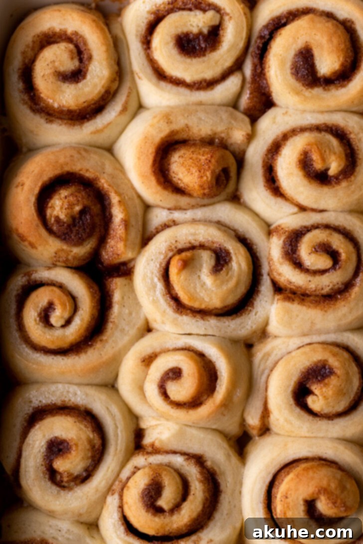 Baked mini cinnamon rolls in a pan, still warm and bubbling.