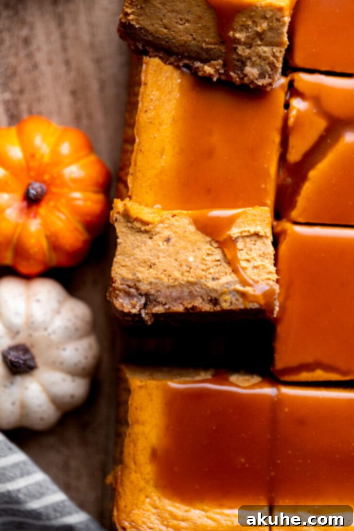 Spiced Pumpkin Caramel Cheesecake Bars 3 Top-down view of a whole caramel pumpkin cheesecake, highlighting its smooth surface and caramel topping before slicing into bars.