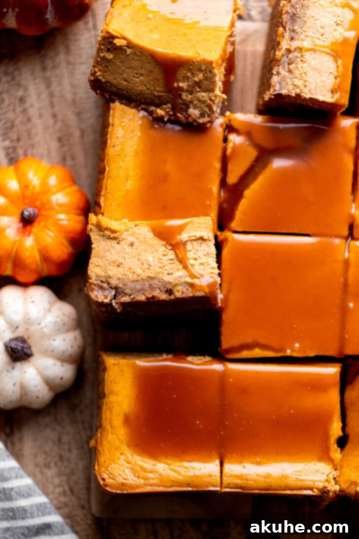 Spiced Pumpkin Caramel Cheesecake Bars 9 An overhead shot of several caramel pumpkin cheesecake bars arranged beautifully on a serving platter, with some turned on their sides to show the layers.