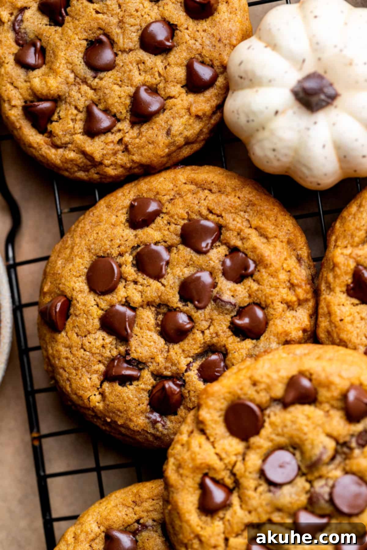 Spiced Pumpkin Chocolate Chip Cookies 2 Close up of pumpkin chocolate chip cookies, showcasing their chewy texture and melted chocolate chips.