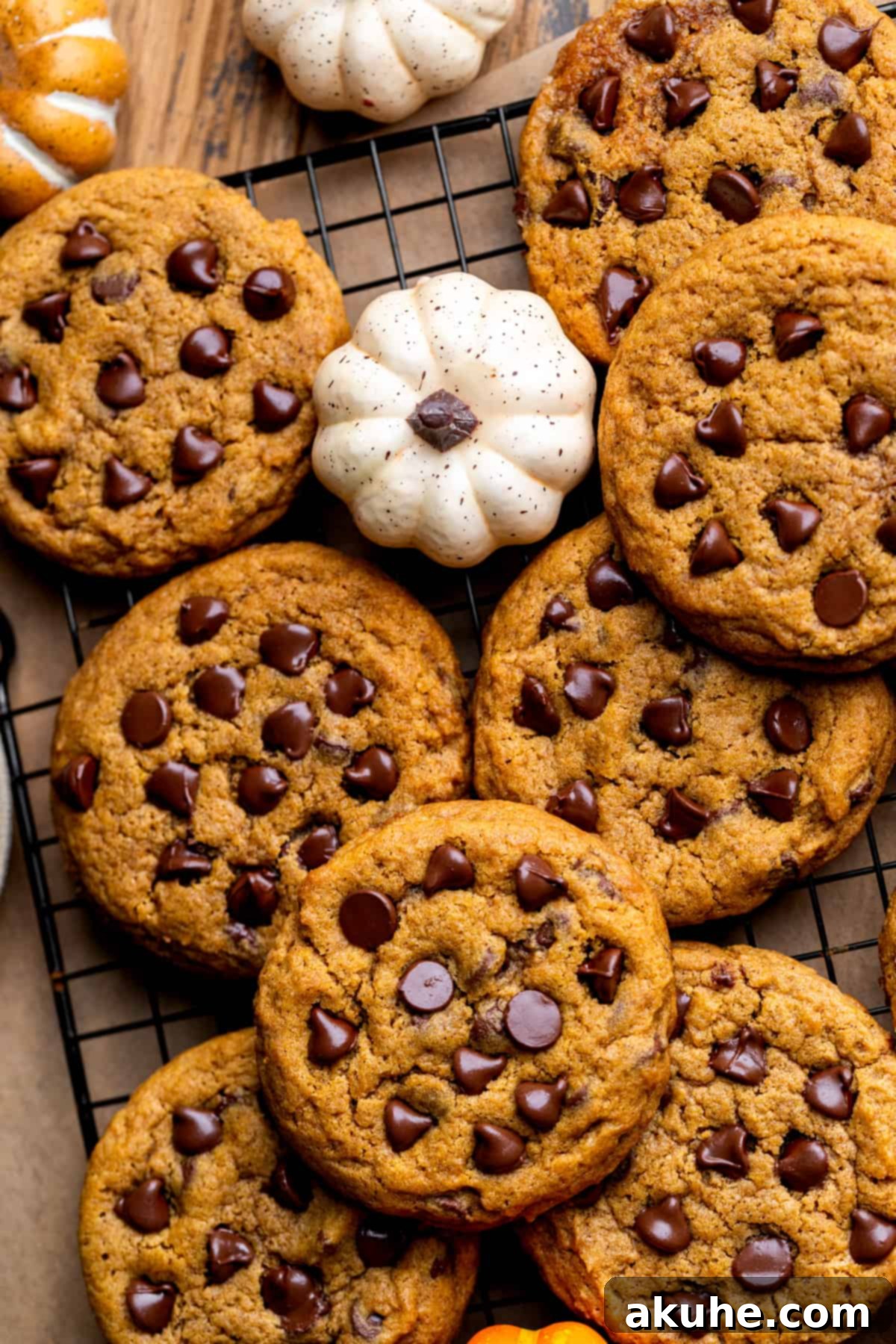 Spiced Pumpkin Chocolate Chip Cookies 3 Top view of pumpkin chocolate chip cookies arranged neatly on a wire cooling rack.