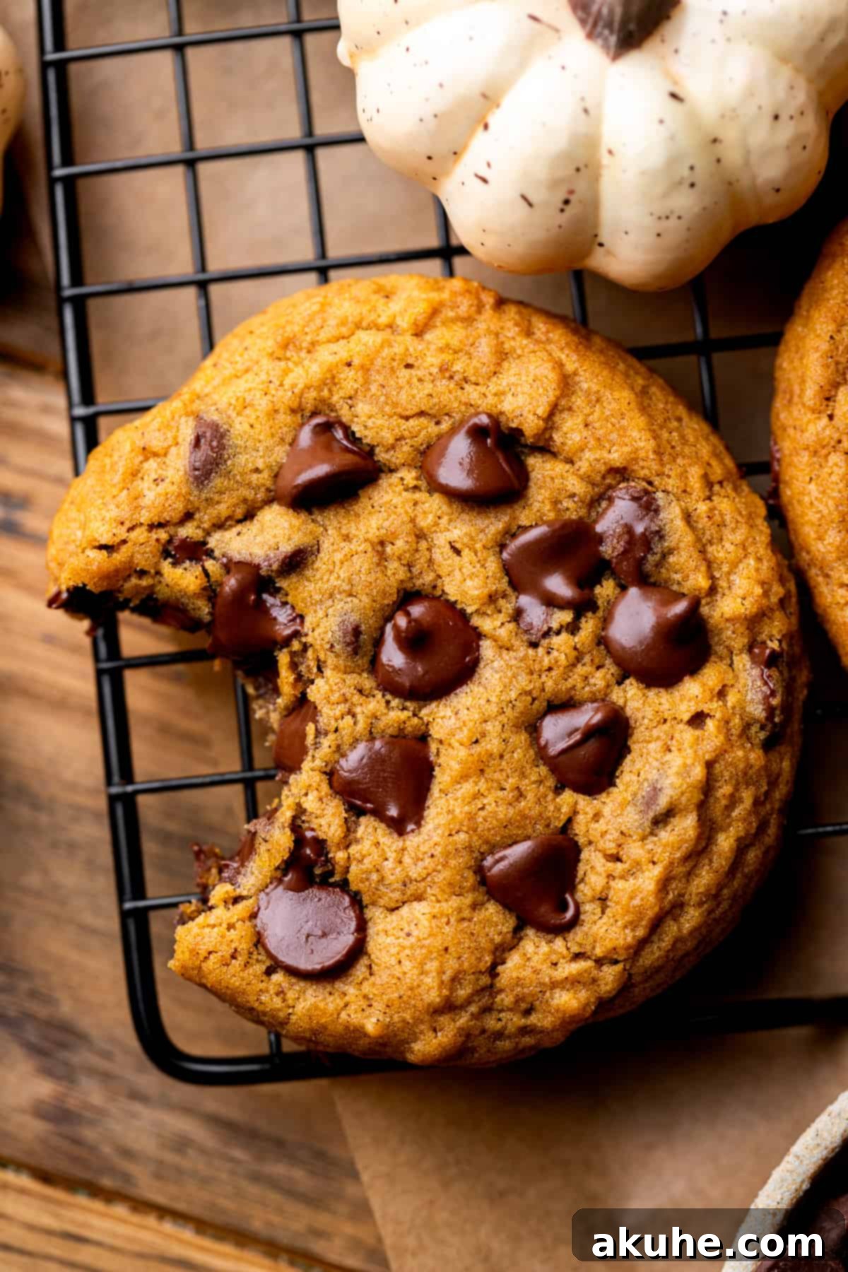 Spiced Pumpkin Chocolate Chip Cookies 7 A freshly baked pumpkin chocolate chip cookie with a bite taken out, revealing its soft interior and melted chocolate.