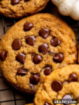Spiced Pumpkin Chocolate Chip Cookies 9 Close up of pumpkin chocolate chip cookies.