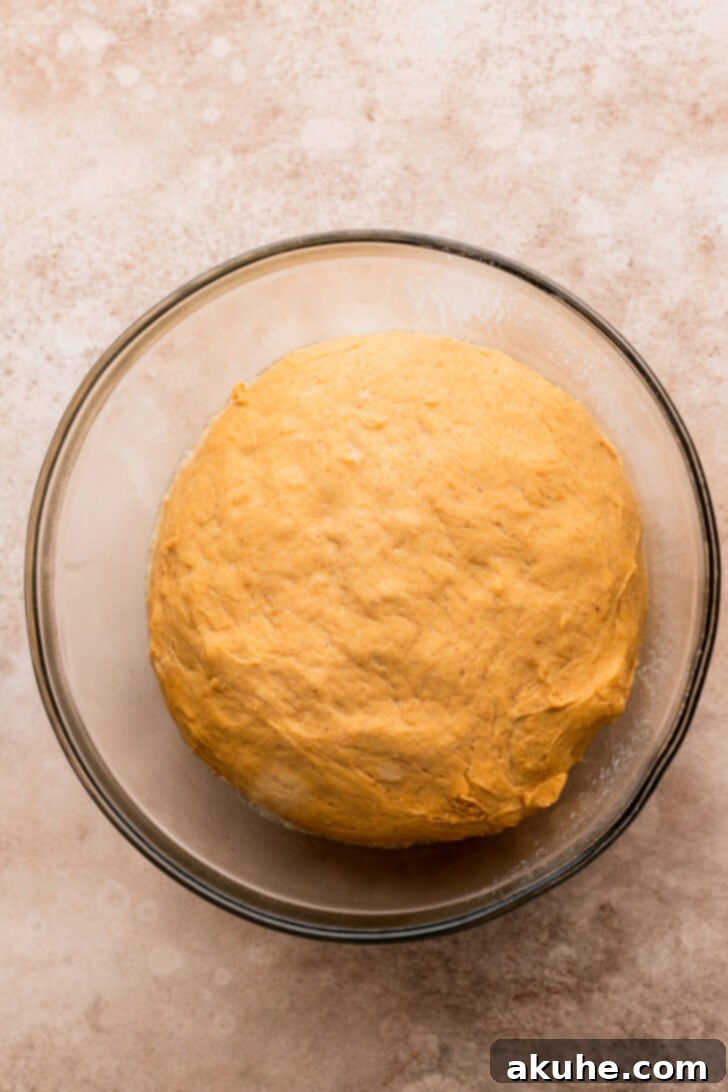 Pumpkin-infused dough in a mixing bowl after its first rise, visibly doubled in size and ready for shaping.