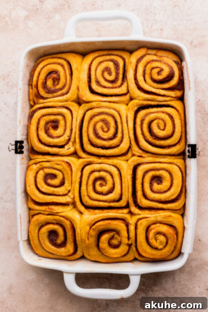 Freshly baked pumpkin cinnamon rolls, golden brown and still in the pan, waiting for the cream cheese icing.