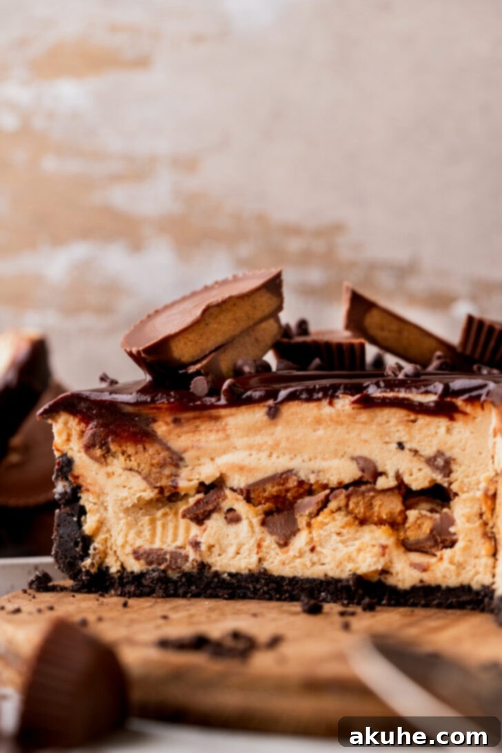 Close up of the side of the pie, showcasing its distinct layers: dark Oreo crust, light peanut butter filling, and smooth chocolate ganache.