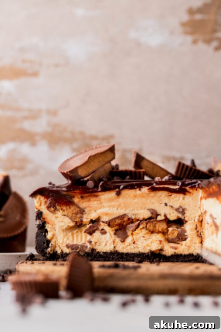 Full side view of the finished Reese's peanut butter pie, showcasing the distinct layers of crust, filling, and ganache, with perfect height.